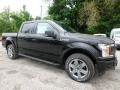 Agate Black - F150 XLT SuperCrew 4x4 Photo No. 8