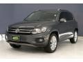 Reflex Silver Metallic - Tiguan SE Photo No. 12