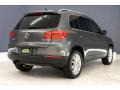 Reflex Silver Metallic - Tiguan SE Photo No. 29