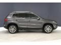 Reflex Silver Metallic - Tiguan SE Photo No. 30