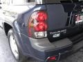 Imperial Blue Metallic - TrailBlazer LS Photo No. 9