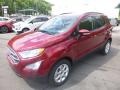 2019 Ruby Red Metallic Ford EcoSport SE 4WD  photo #5
