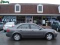 Willow Gray - Sonata GLS Photo No. 1