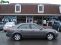 2009 Willow Gray Hyundai Sonata GLS  photo #1