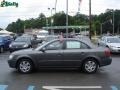 Willow Gray - Sonata GLS Photo No. 5