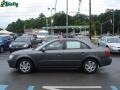 2009 Willow Gray Hyundai Sonata GLS  photo #5