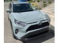 Lunar Rock 2019 Toyota RAV4 XLE AWD Hybrid