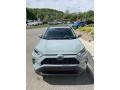 Lunar Rock - RAV4 XLE AWD Hybrid Photo No. 2