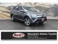 Magnetic Gray Metallic - RAV4 XLE Photo No. 1