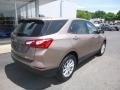 Sandy Ridge Metallic - Equinox LS AWD Photo No. 4