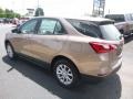 Sandy Ridge Metallic - Equinox LS AWD Photo No. 6