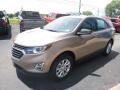 Sandy Ridge Metallic - Equinox LS AWD Photo No. 7