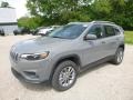 Sting-Gray - Cherokee Latitude Plus 4x4 Photo No. 1