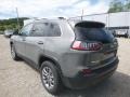 Sting-Gray - Cherokee Latitude Plus 4x4 Photo No. 3