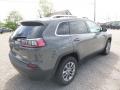 Sting-Gray - Cherokee Latitude Plus 4x4 Photo No. 5