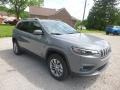 Sting-Gray - Cherokee Latitude Plus 4x4 Photo No. 7