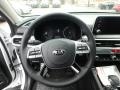 Black Steering Wheel Photo for 2020 Kia Telluride #133480597