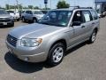 Crystal Gray Metallic - Forester 2.5 X Photo No. 3