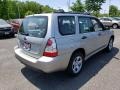 Crystal Gray Metallic - Forester 2.5 X Photo No. 7