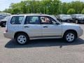 Crystal Gray Metallic - Forester 2.5 X Photo No. 8