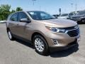 2019 Sandy Ridge Metallic Chevrolet Equinox LS  photo #1