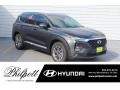 2019 Rainforest Hyundai Santa Fe SEL Plus  photo #1