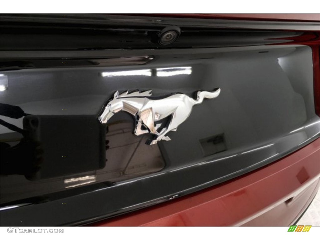 2017 Mustang Ecoboost Coupe - Ruby Red / Ebony photo #22