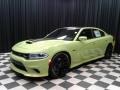 Sublime Metallic - Charger Daytona 392 Photo No. 2