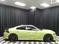 Sublime Metallic - Charger Daytona 392 Photo No. 5