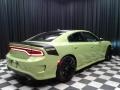 Sublime Metallic - Charger Daytona 392 Photo No. 6