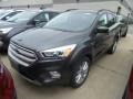 2019 Magnetic Ford Escape SEL  photo #1