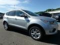 2019 Ingot Silver Ford Escape SE 4WD  photo #9