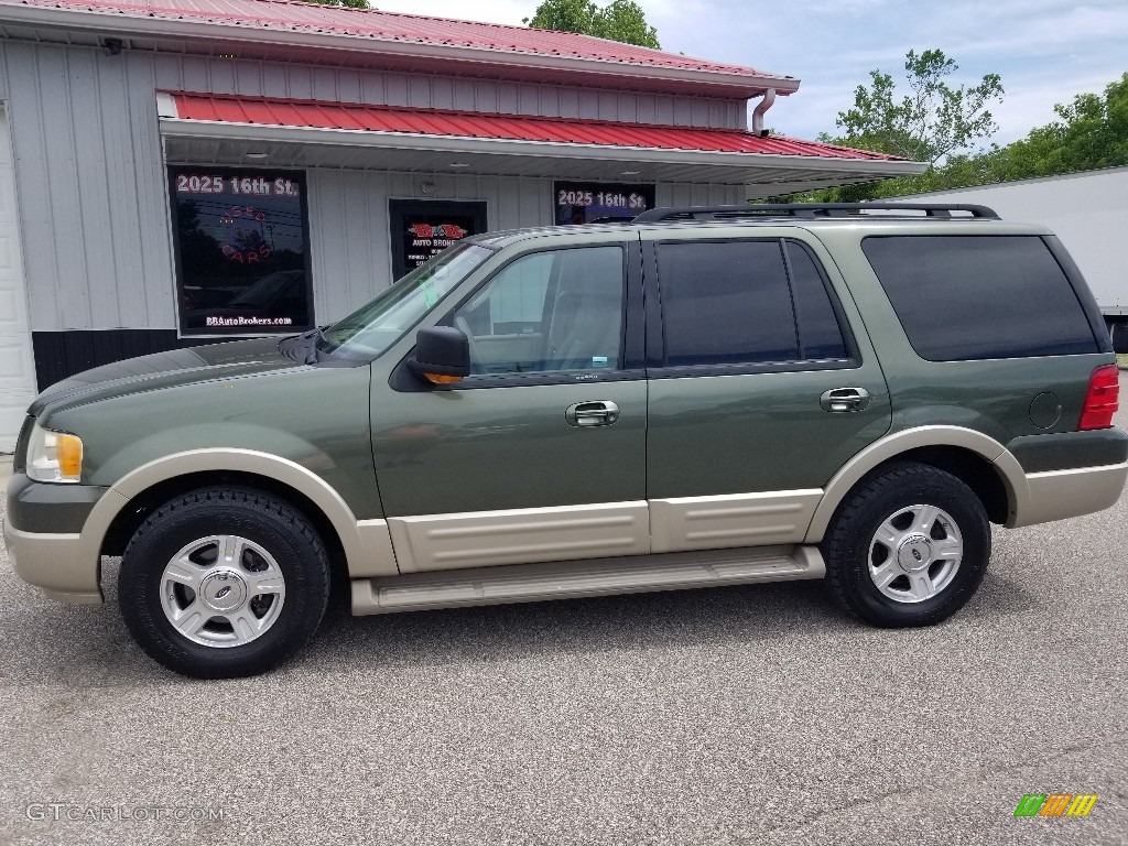 2005 Expedition Eddie Bauer - Estate Green Metallic / Medium Parchment photo #2