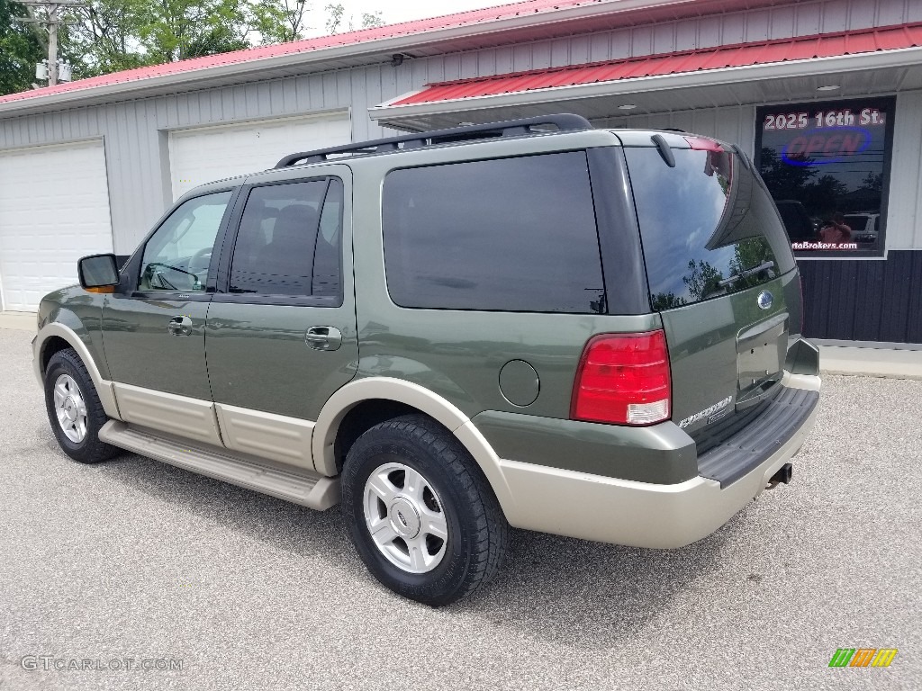 2005 Expedition Eddie Bauer - Estate Green Metallic / Medium Parchment photo #4