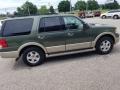 2005 Estate Green Metallic Ford Expedition Eddie Bauer  photo #7