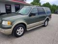 2005 Estate Green Metallic Ford Expedition Eddie Bauer  photo #32