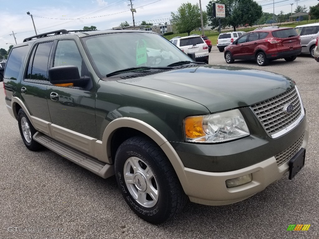 2005 Expedition Eddie Bauer - Estate Green Metallic / Medium Parchment photo #37