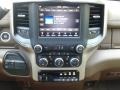 Mountain Brown/Light Frost Beige Controls Photo for 2019 Ram 3500 #133569841