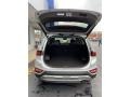 2019 Symphony Silver Hyundai Santa Fe Limited AWD  photo #21