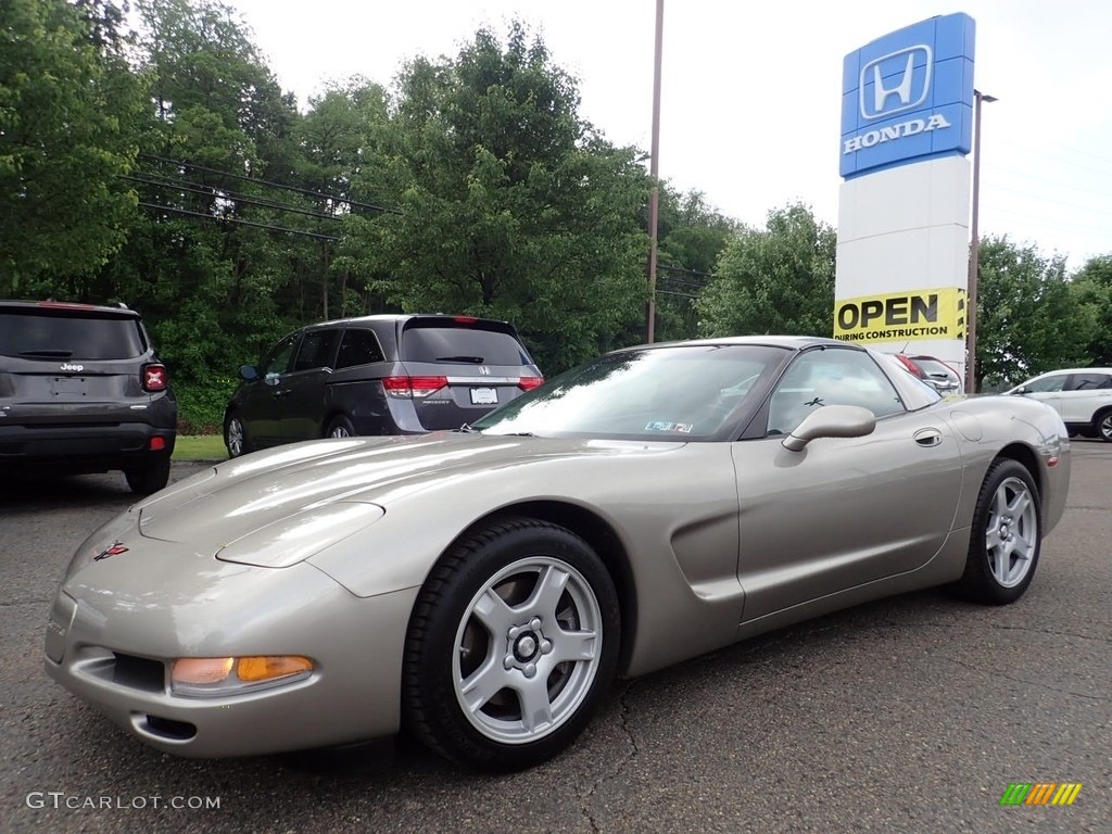 1999 Corvette Coupe - Light Pewter Metallic / Light Gray photo #1
