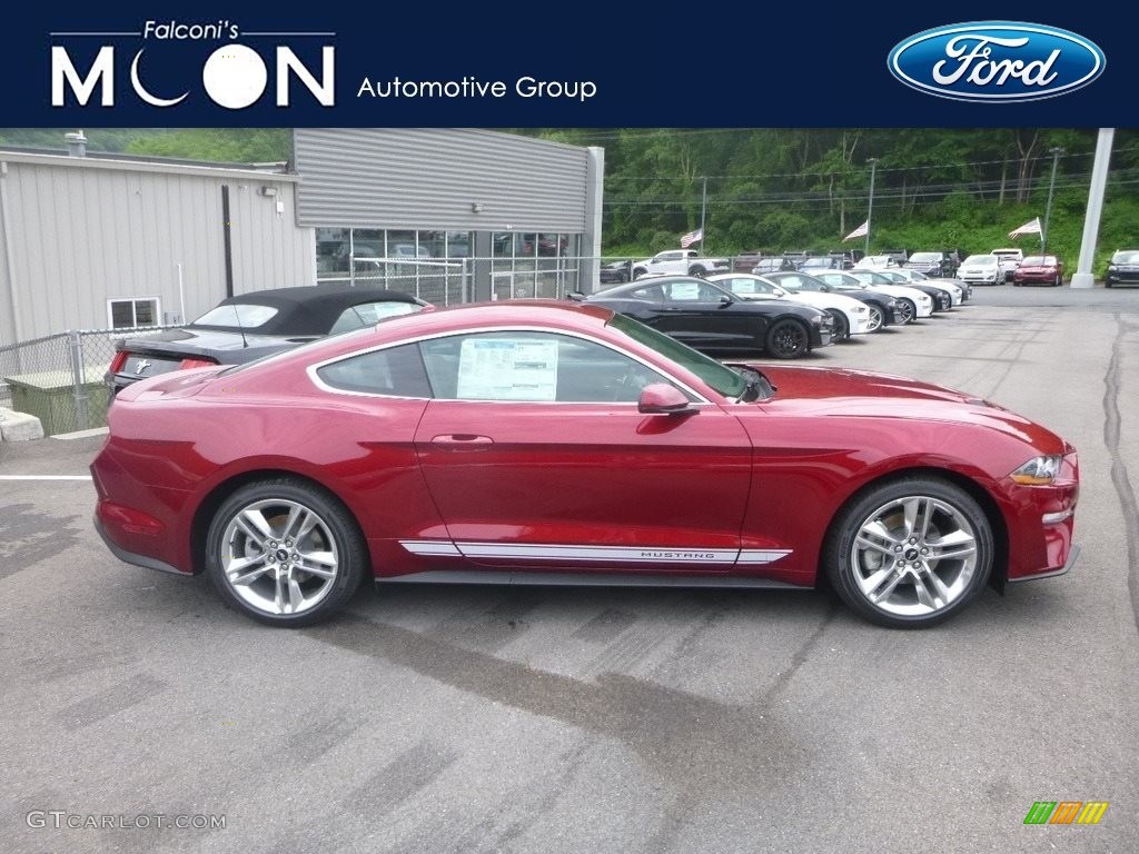 2019 Mustang EcoBoost Premium Fastback - Ruby Red / Ebony photo #1