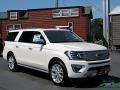 White Platinum Metallic Tri-Coat - Expedition Platinum Max 4x4 Photo No. 7