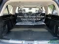 White Platinum Metallic Tri-Coat - Expedition Platinum Max 4x4 Photo No. 15