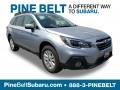 Ice Silver Metallic - Outback 2.5i Premium Photo No. 1