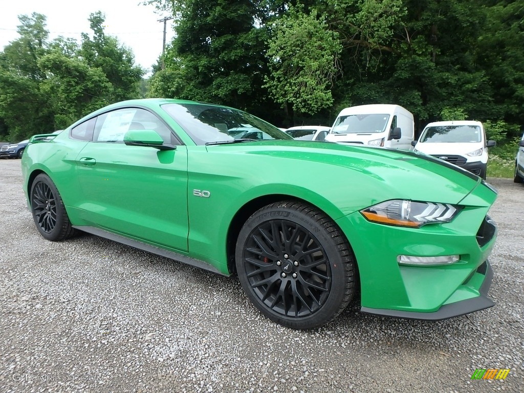 2019 Mustang GT Fastback - Need For Green / Ebony photo #9