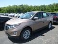 2019 Sandy Ridge Metallic Chevrolet Equinox LS  photo #1