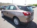 2019 Sandy Ridge Metallic Chevrolet Equinox LS  photo #3