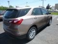 2019 Sandy Ridge Metallic Chevrolet Equinox LS  photo #4