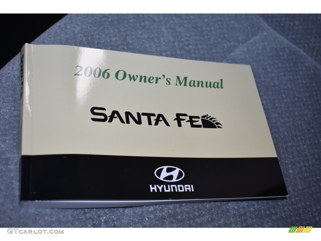 2006 Santa Fe GLS - Pewter / Gray photo #18