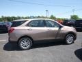 2019 Sandy Ridge Metallic Chevrolet Equinox LS  photo #5